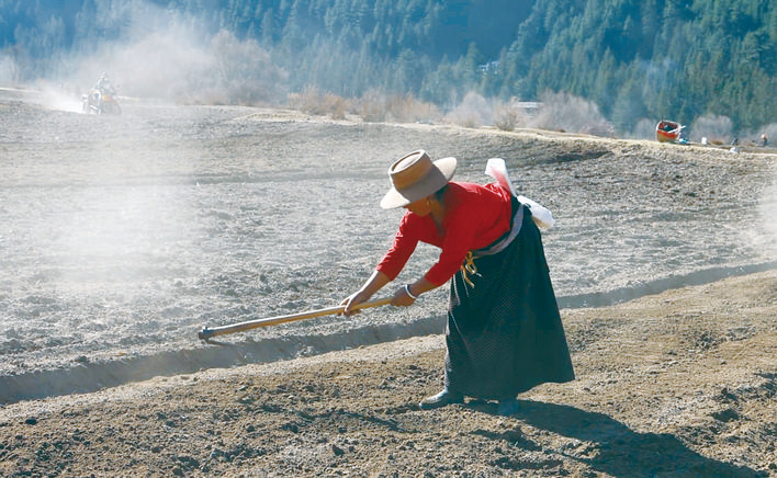 若尔盖铁布镇：农忙春光里
