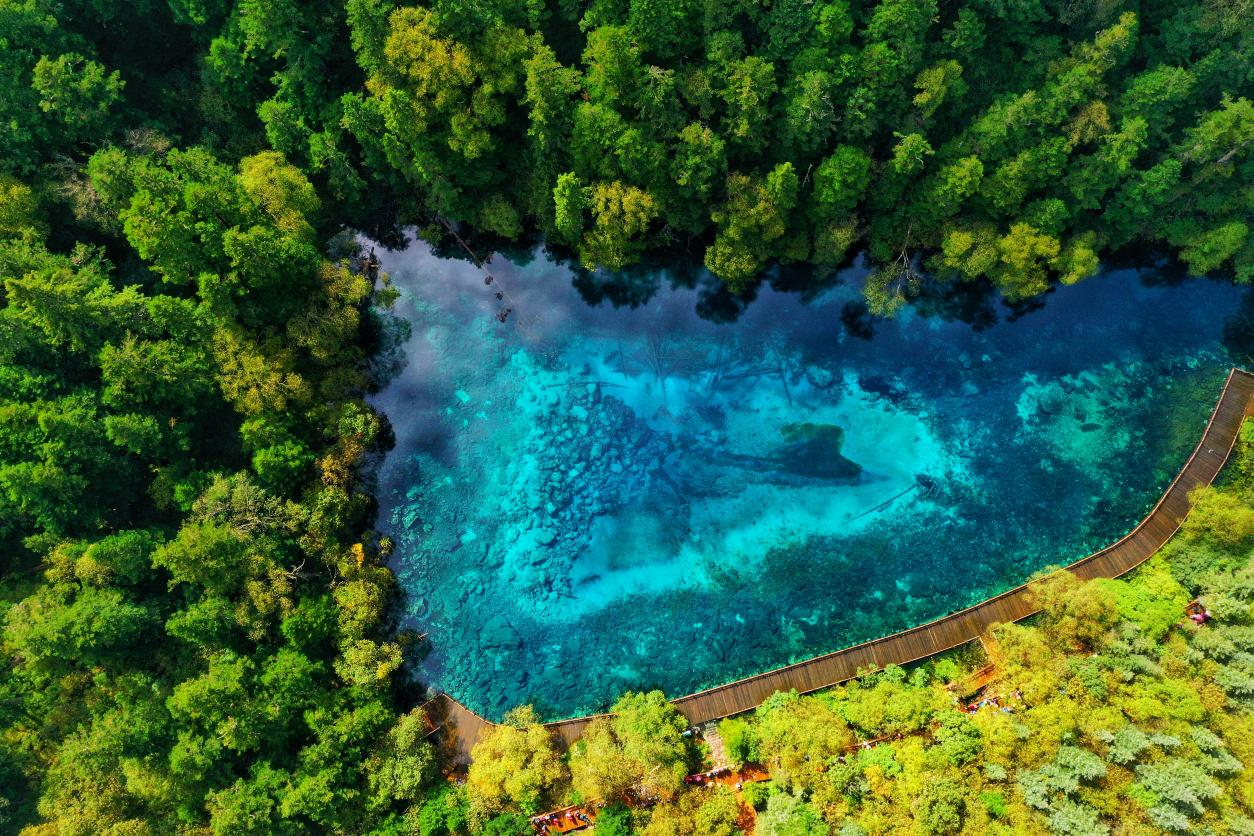 突破600万人次 九寨沟景区游客接待量创40余年来历史新高