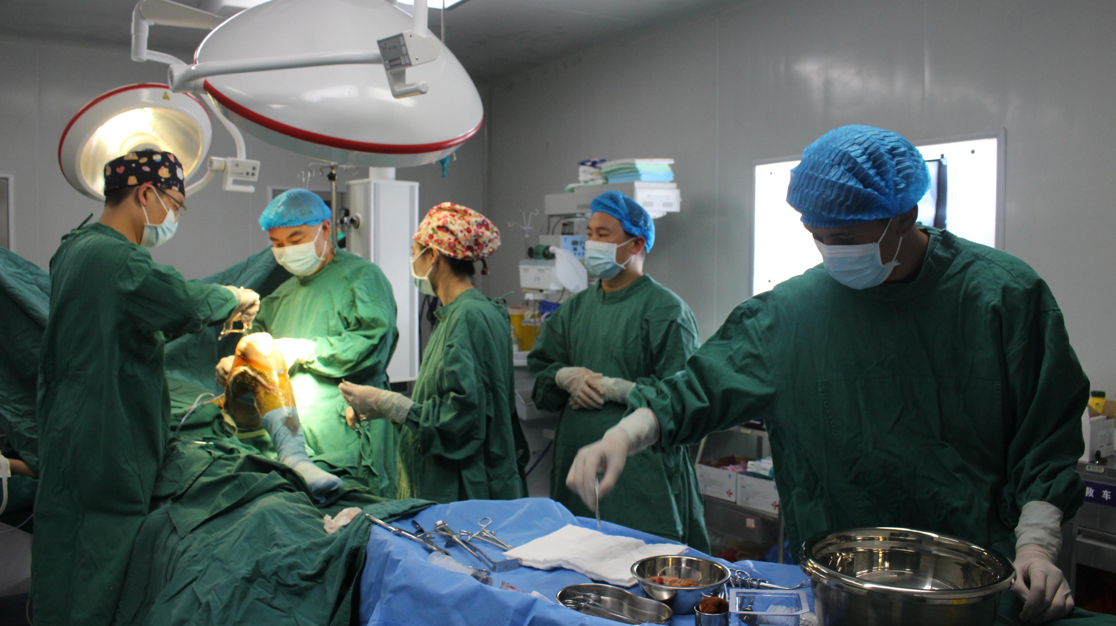 百万民生资金托举健康梦 道孚县两大惠民手术惠及353名群众