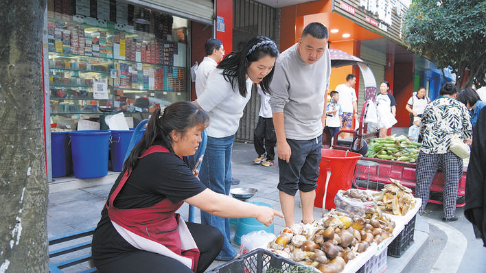 阿坝野生菌“抢鲜”上市 撑起乡村“致富伞”