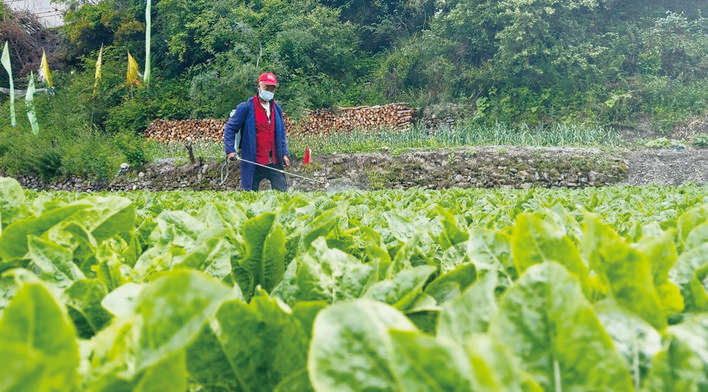 ཀྲུང་གོ་མི་དམངས་ཀྱི་རི་འགོག་དམག་འཁྲུག་དང་འཛམ་གླིང་གི་ཧྥ་ཤི་སིར་ངོ་རྒོལ་བྱེད་པའི་དམག་འཁྲུག་ལ་རྒྱལ་ཁ་ཐོབ་ནས་ལོ་ངོ་80འཁོར་བར་དྲན་གསོ་ཞུ་བའི་ཚོགས་ཆེན་པེ་ཅིང་དུ་གཟབ་རྒྱས་ངང་འཚོགས་པ་དང་། ཞི་ཅིན་ཕིང་གིས་གསུང་བཤད་གལ་ཆེན་གནང་བ་དང་འབྲེལ་གཟིགས་སྦྲེང་དཔུང་སྡེར་གཟིགས་