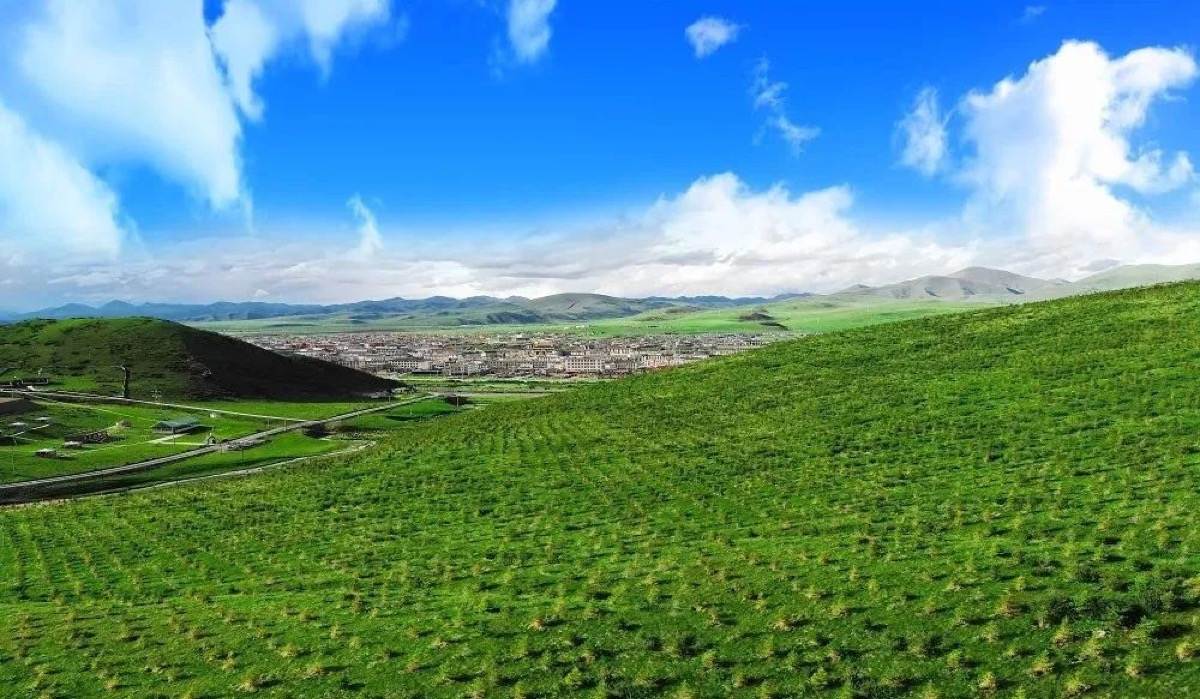 色达：高原湿地生态美