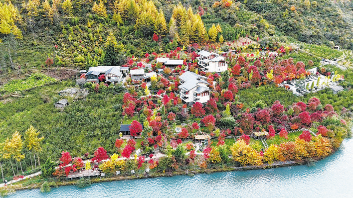 卧龙国家级自然保护区彩林迎来最佳观赏期