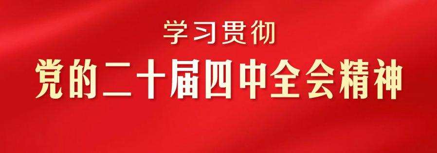 学习贯彻党的二十届四中全会精神