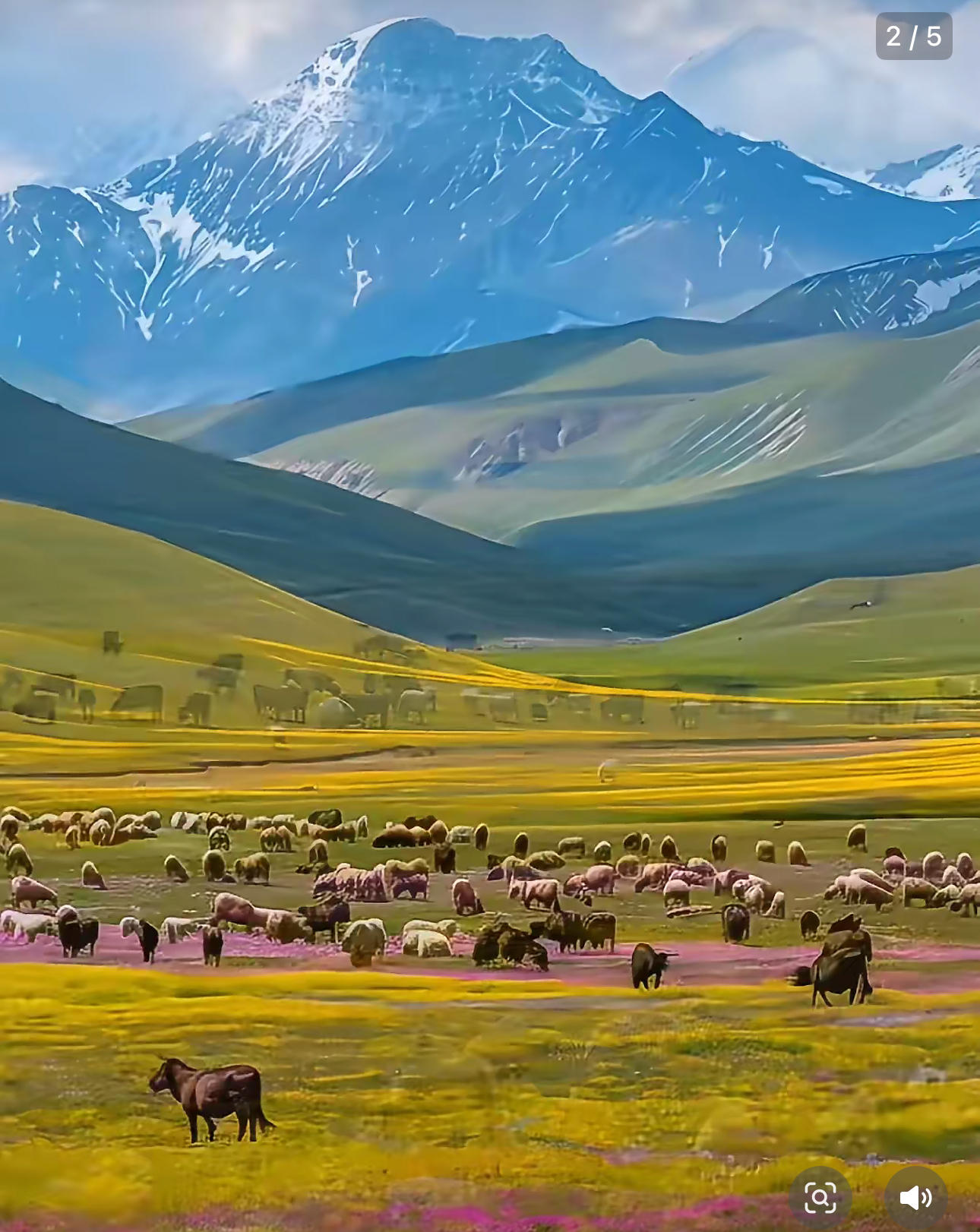 ༄༅།།གཟི་ལ་བརྟག་པའི་ཐབས་ཤེས་འདི་དག་ཁྱེད་ཀྱིས་ཤེས་སམ།