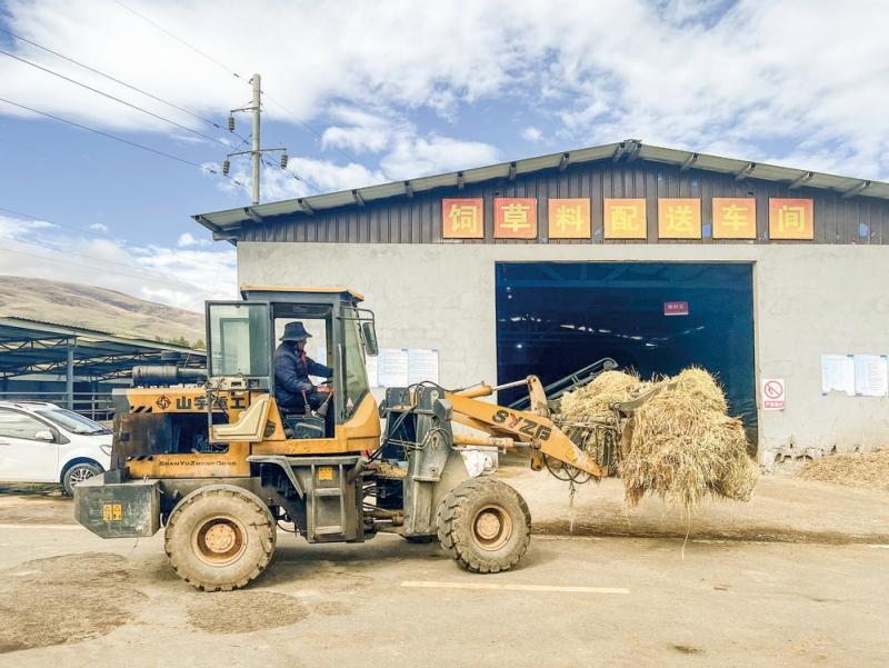 ༄༅།།མངའ་རིས་ཀྱི་ཁྱད་ལྡན་རིག་གནས་མཚོན་རྟགས།