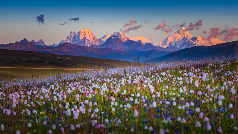 བོད་ཀྱི་ལོ་ངོ་60དང་འབྲེལ་བའི་བགྲོ་གླེང་ཚོགས་འདུ་པེ་ཅིང་དུ་འཚོགས།