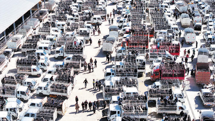 传统牧区如何作答新质生产力考题？——探访红原县绿色产业经济园区的科创实践