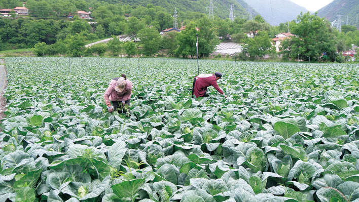 མཛོད་དགེ་རྫོང་གིས“རང་ཁྱིམ་ནས་སྟབས་བསྟུན་ལས་ཞུགས+གཟུགས་འདས་རིག་གནས་ཤུལ་བཞག་རྒྱུན་འཛིན”གྱི་ལས་ཞུགས་ལས་གཏོད་གསོ་སྐྱོང་རྟེན་གཞི་དངོས་སུ་འཁོར་སྐྱོད་བྱེད་འགོ་ཚུགས།