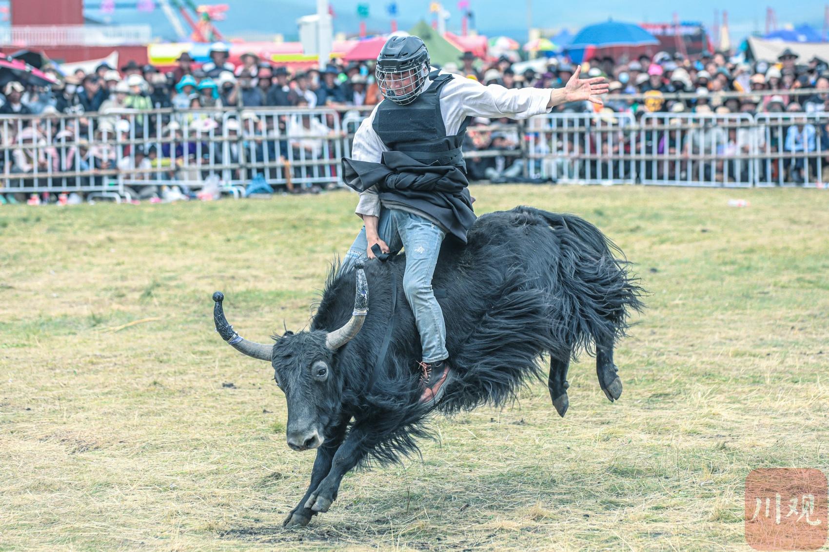༄༅།།ཕྱི་དབང་དང་དུང་དཀར་བྲག་ཕུག་གི་ལྡེབས་རིས་སྣ་ཚོགས།