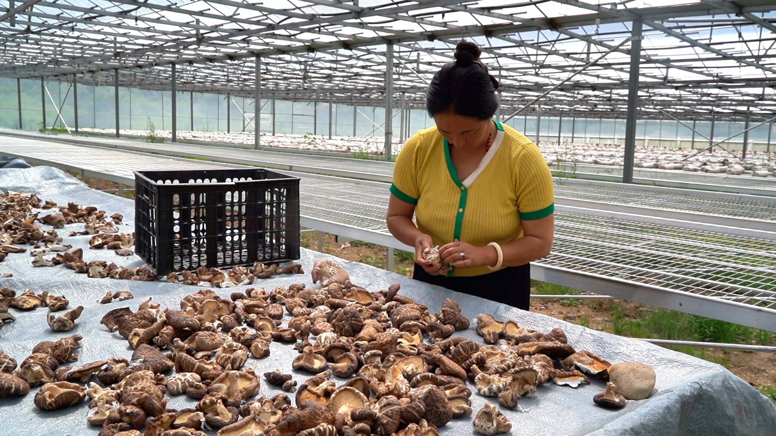 སྤྱི་ཟླ་8པའི་རྒྱལ་དམངས་དཔལ་འབྱོར་གྱི་འཁོར་སྐྱོད་གནས་ཚུལ།