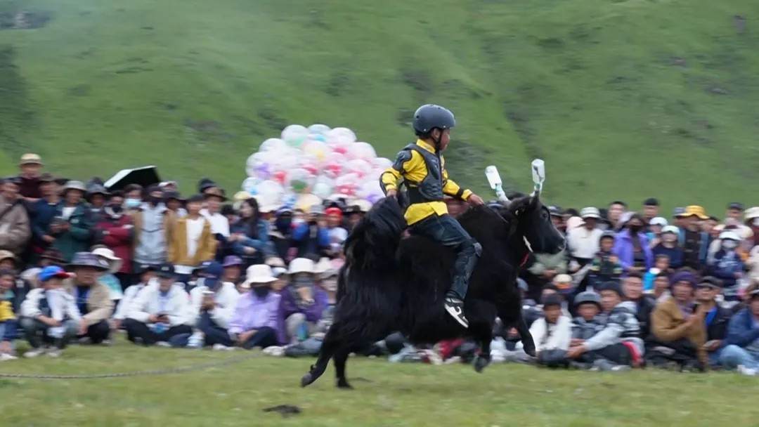 གཅིག་སྒྲིལ་རྫོང་དུ་འབྲི་གཡག་གི་འགྲན་བསྡུར་འདི་འདྲ་ཞིག་གཉེར་འདུག