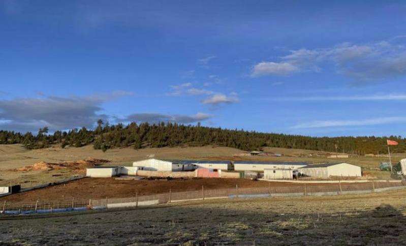 མཚོ་སྔོན་གཅན་ཚར་སྲོལ་རྒྱུན་མདའ་རྩེད་བྱེད་སྒོ་ཆེན་པོ་གཉེར་བ།