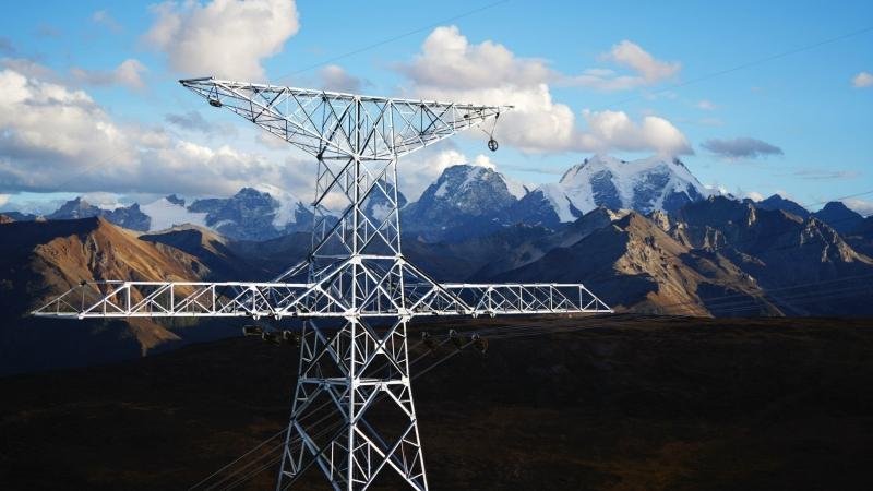 བགྲང་བྱ་50རིང་དུ་ནད་པ་ཁྲི་113ལ་སྨན་བཅོས་བྱས་པའི་གྲོང་གསེབ་ལྷ་རྗེ་སྒྲོལ་མ་ཚེ་རིང་།