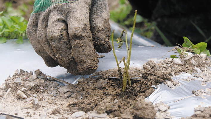 བྱམས་མེ་གྲོང་རྡལ་ཧུ་ར་སྡེ་པས་2025ལོའི་གཞུང་གཉེར་དཔལ་འབྱོར་གྱི་ཁེ་སྤོགས་བགོ་བའི་ཚོགས་ཆེན་འཚོགས།