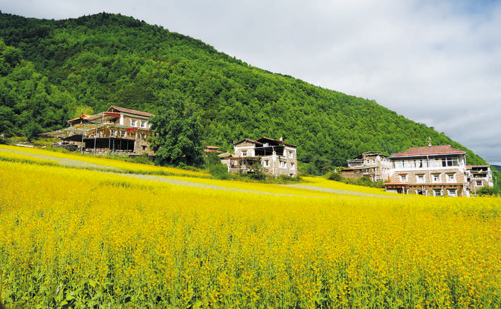 ༄༅།།སྲོག་ཆགས་ལ་གཅེས་སྤྲས།