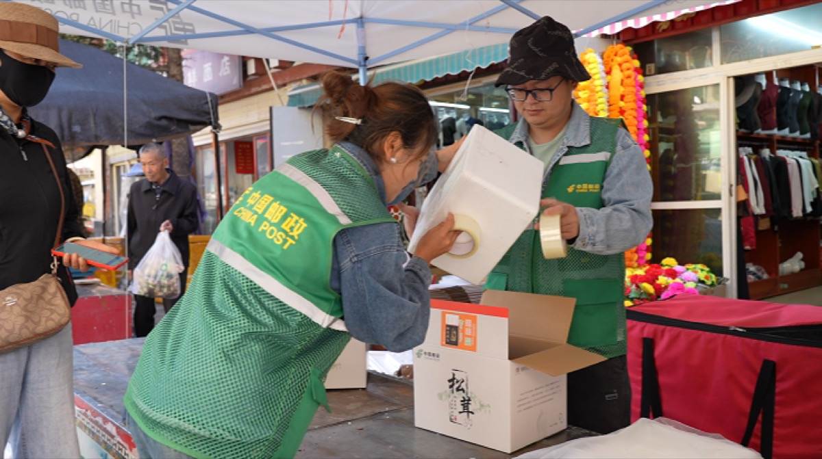 道孚：24小时鲜达省内，邮政“鲜菌专线”让农牧民产品迅速转化为收益