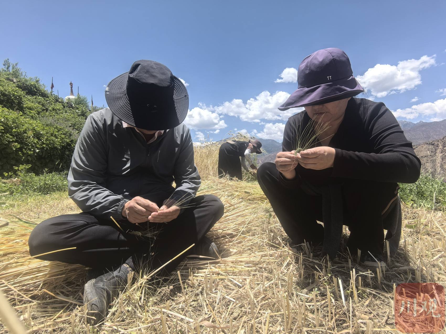 ཞི་ཅིན་ཕིང་གིས་ཤིན་ཅང་གི་མི་རིགས་ཁག་དང་ལས་རིགས་ཁག་གི་འཐུས་མིར་མཇལ་འཕྲད་གནང་བ།