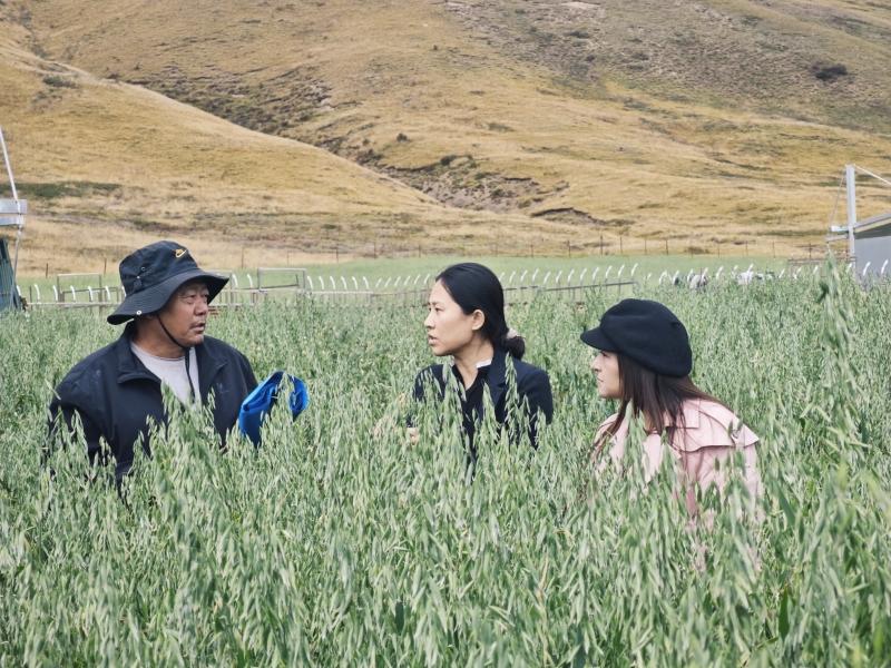 ༄༅།།ཤངས་པ་ལྷ་མོའི་རྒྱུན་འཛིན་བྱེད་སྟངས་ལེགས།