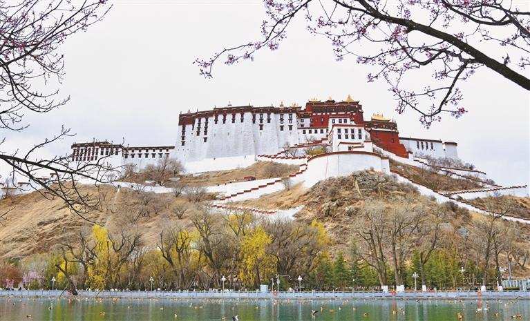ས་མཐོའི་གང་སར་དཔྱིད་དཔལ་བཞད།