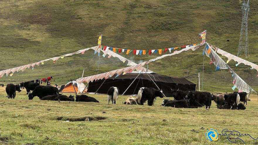 ༄༅།།དབུ་ཅན་གཟུགས་ཀྱི་མཛེས་པ་བརྒྱད་དང་སྨྱུག་ཁ་འཁྱུད་སྟངས།