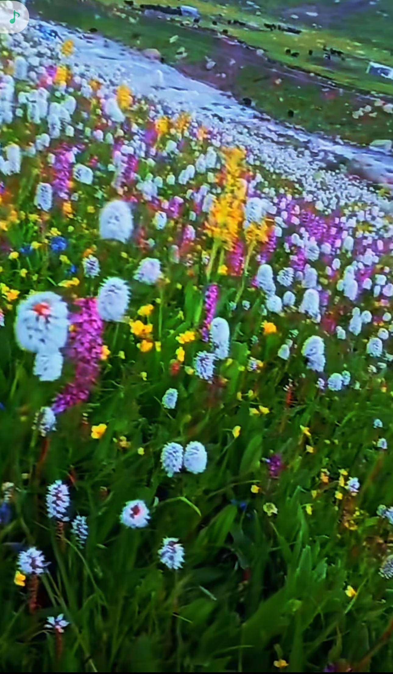 ༄༅།།བོད་ཀྱི་ཡི་གེའི་ཕྱི་མོ་དཔེ་གང་ལ་བྱས་པ།