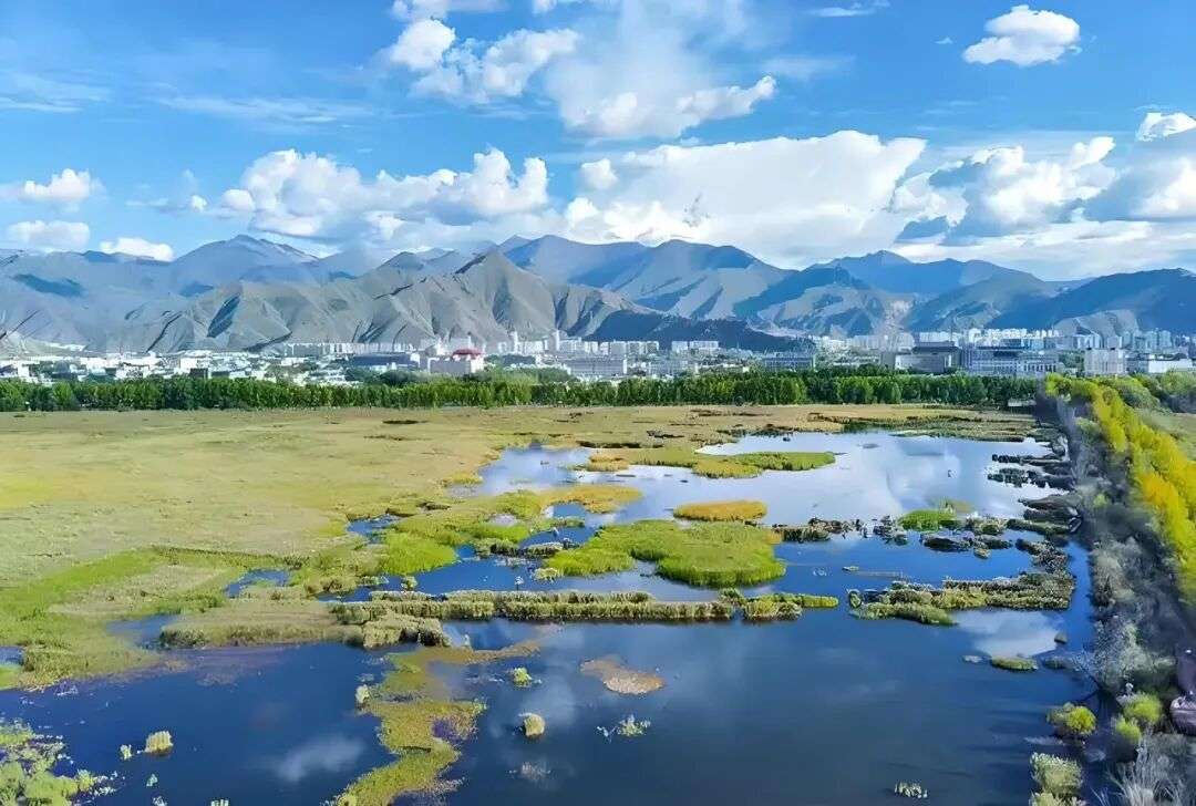 ༄༅།།རྒྱ་རྩིས་ཞེས་པའི་ཐ་སྙད་ཀྱི་འཇུག་ཡུལ་ལ་དཔྱད་པ།