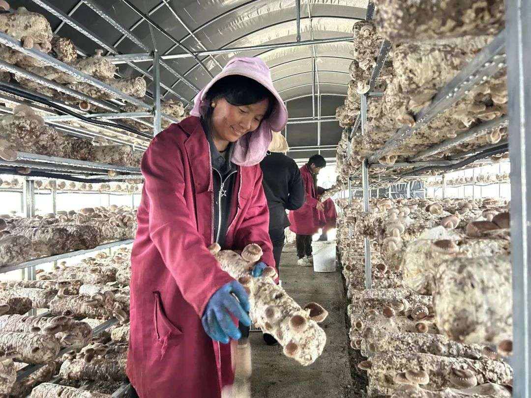 ༄༅།།མ་བཅོས་མཛེས་པའི་སྐྱེ་ཁམས། ཡིད་དབང་འཕྲོག་པའི་ཞིང་ཁམས།