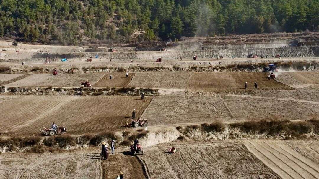 མཛོད་དགེ་རྫོང་ཐེ་བོ་གྲོང་རྡལ་དུ་དཔྱིད་འདེབས་ཀྱི་ཞིང་ལས་ལས་འགོ་བརྩམས།