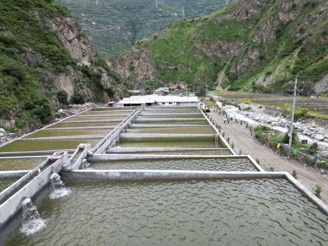 康定：高原养鱼虾 拓宽增收路