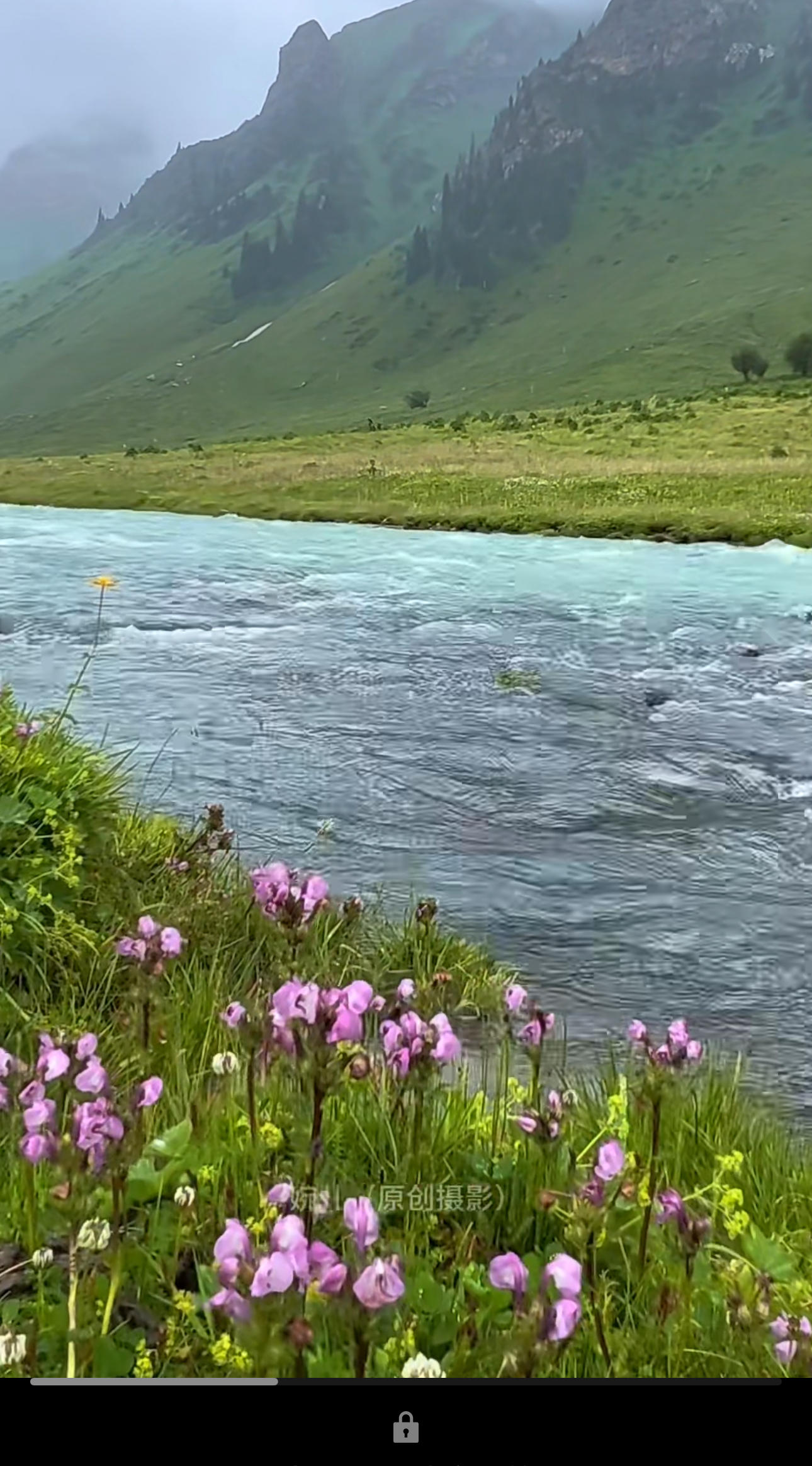 ༄༅།།《ས་སྐྱ་ལེགས་བཤད》ལས་བསྟན་པའི་ས་པཎ་གྱི་མི་ཆོས་དགོངས་པར་ཅུང་ཟད་དཔྱད་པ།
