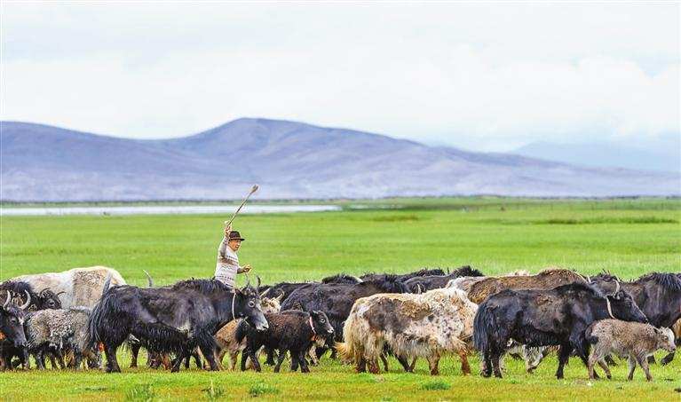 མ་ཕམ་གཡུ་མཚོའི་དབྱར་གཞུང་གི་འདམ་ར།
